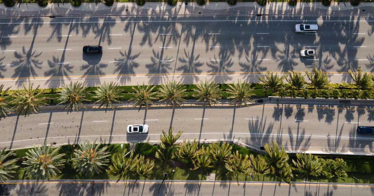 Palm-lined Florida road of the kind you'll be navigating on data